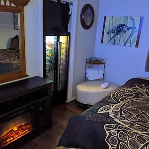 Turtles Spot Homestay